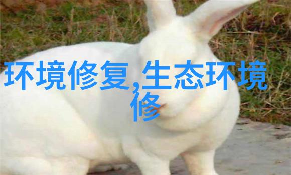 11亿项目流标环保项目频频废标原因竟都是投标人不足